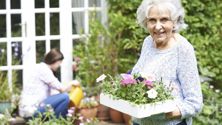 Senior Social Isolation - Elderly Woman And Young Woman Gardening