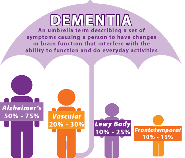 Dementia Care for Seniors Risk Factors amp Resources MeetCaregivers