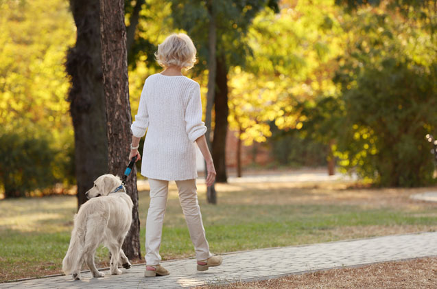 Jobs For Seniors - A Woman Walking A Dog