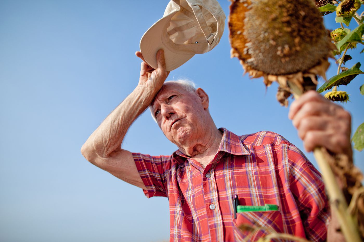 Heat And High Blood Pressure Medication - Elderly Man Wiping His Forehead