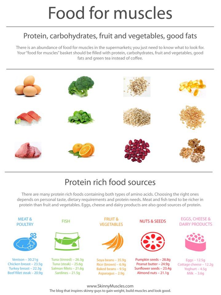 Winter Nutrition For Seniors - Foods For Muscle Health Graphic
