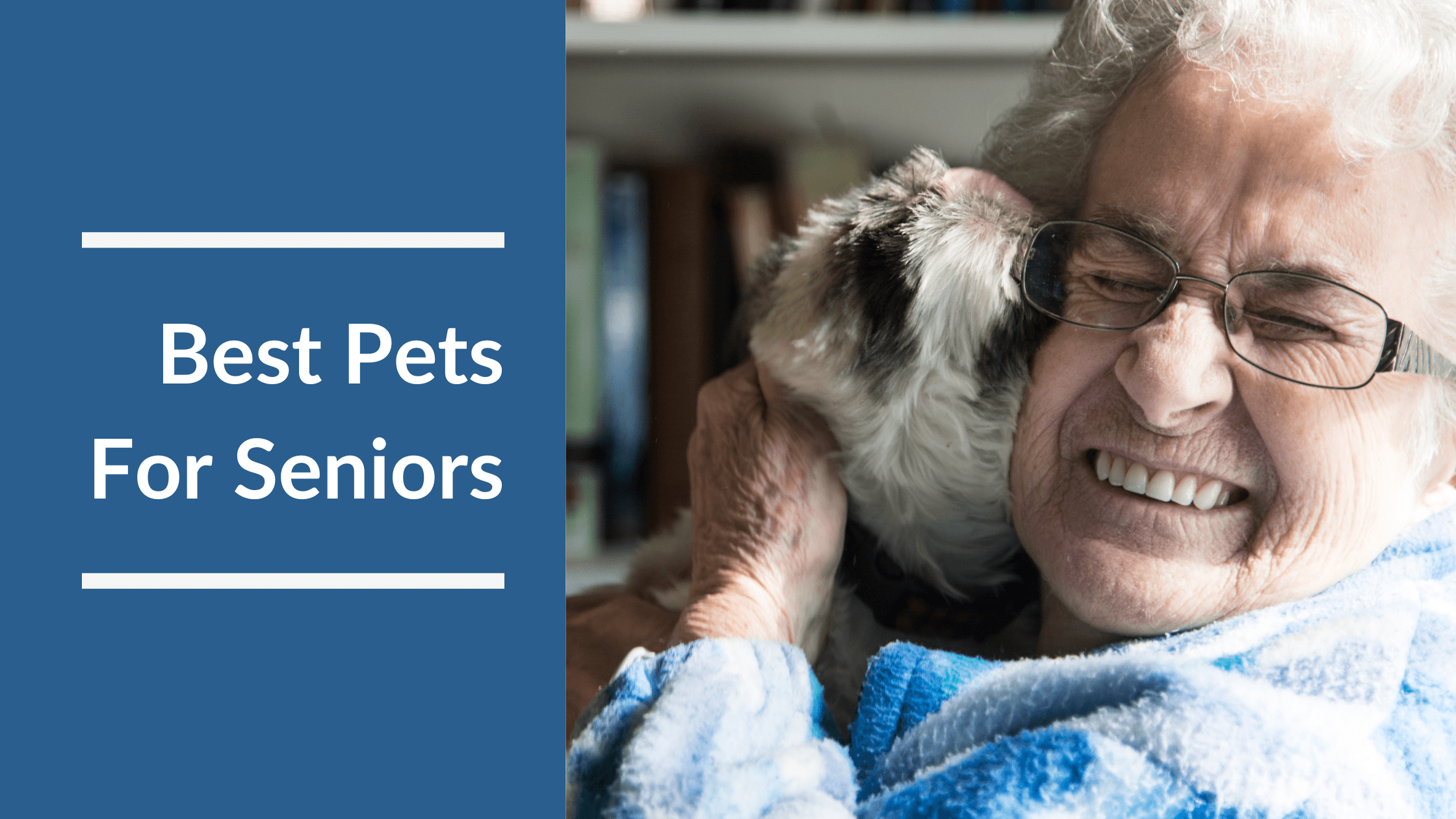 Best Pets For Seniors Featured Image