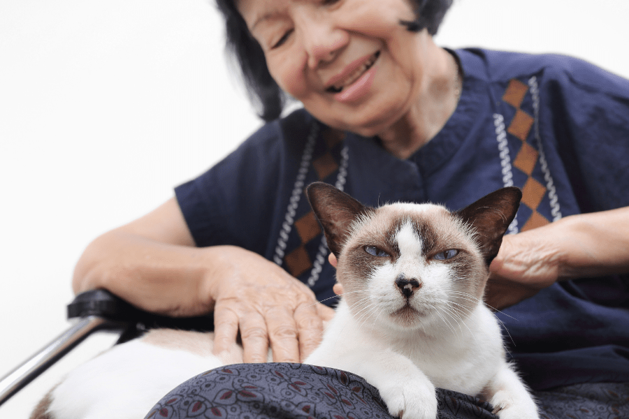 Best pets for seniors – Happy senior woman holding a cat in her lap.