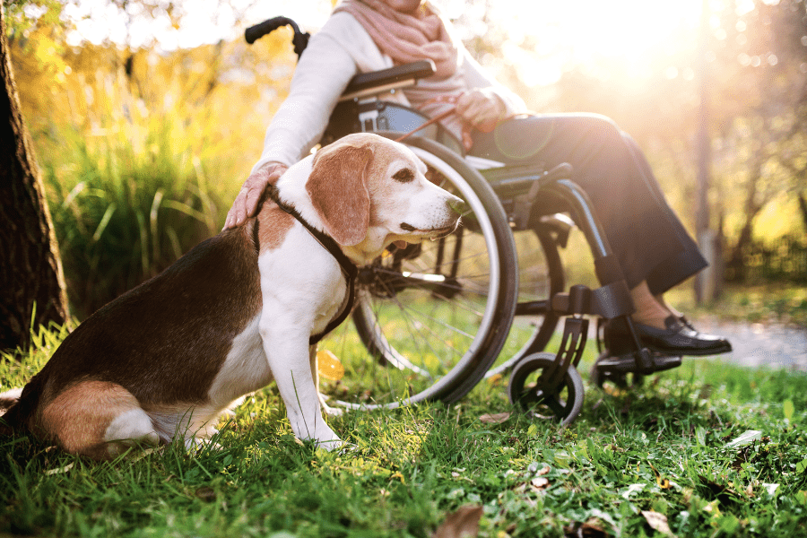 Elderly woman in a wheelchair sitting outside with her dog.