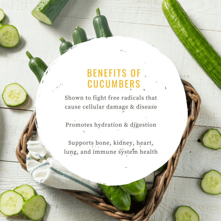 Foods For Seniors Cucumber Benefits Image 1