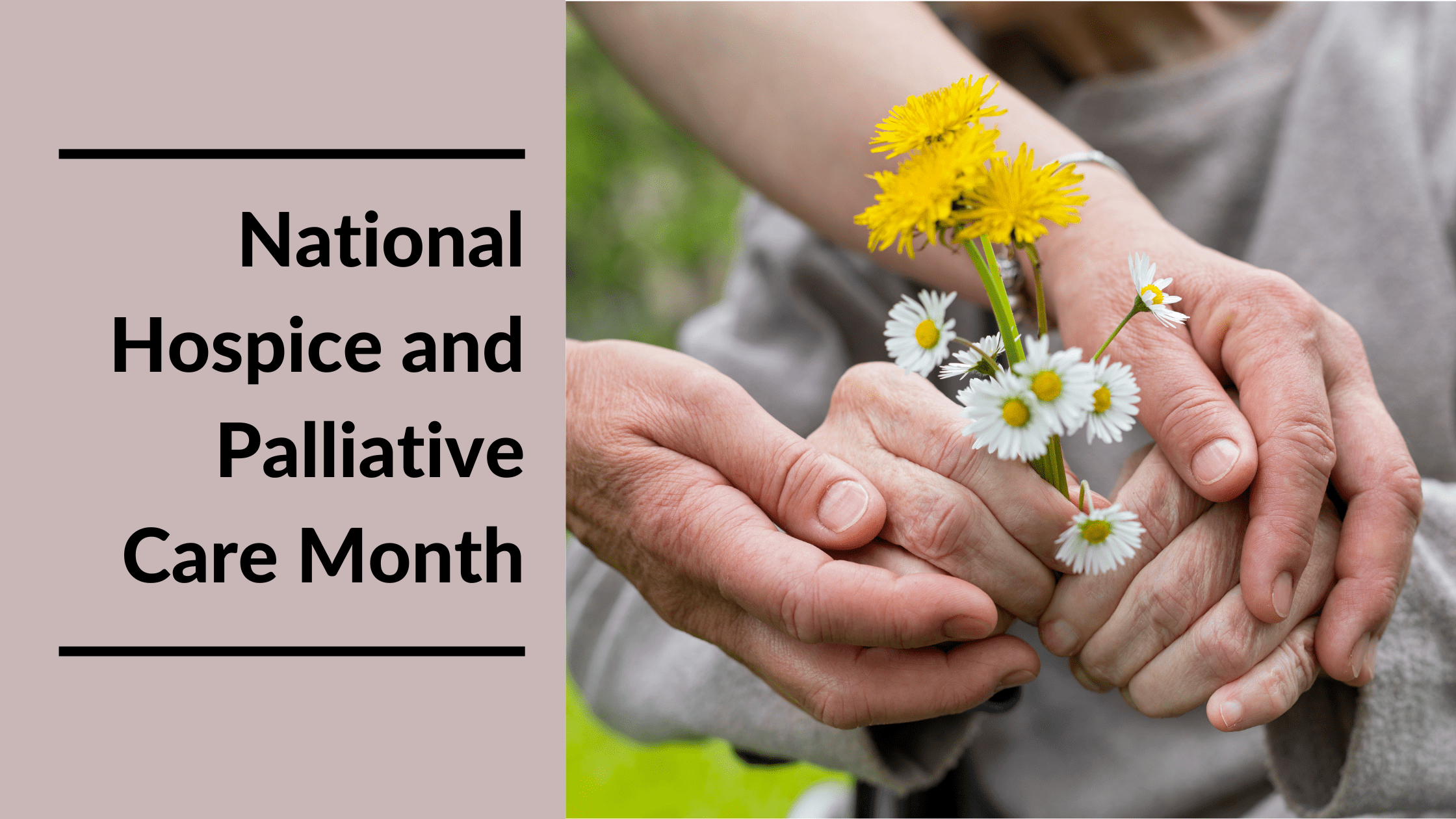 National Hospice and Palliative Care Month Featured Image
